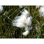 De quoi parle-t-on? Des histoires ou des cas cliniques? 