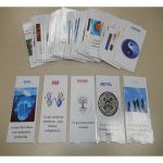Jeux et cognitions Jeu des lments 