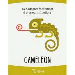 Ressources personnelles Totem