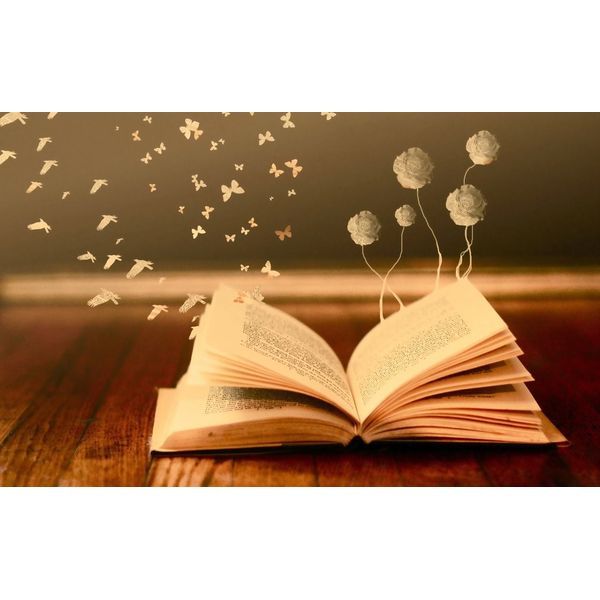 Ressource, entre images et mots