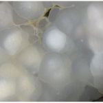 Identit et existence L'prouv
